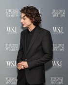 Timothee Chalamet : timothee-chalamet-1705956018.jpg