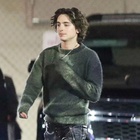 Timothee Chalamet : timothee-chalamet-1706888908.jpg