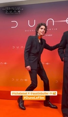 Timothee Chalamet : timothee-chalamet-1707944645.jpg