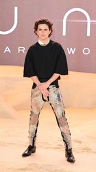 Timothee Chalamet : timothee-chalamet-1708192092.jpg