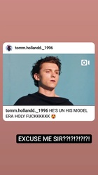 Tom Holland : tom-holland-1642157446.jpg