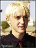 Tom Felton : TI4U_u1146013909.jpg