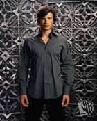 Tom Welling : tom_welling_1168463004.jpg