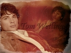Tom Welling : tom_welling_1170972934.jpg