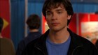 Tom Welling : tom_welling_1193588050.jpg