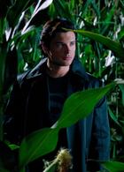 Tom Welling : tom_welling_1286761483.jpg