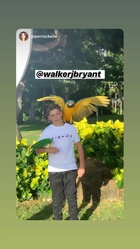 Walker Bryant : walker-bryant-1575461821.jpg
